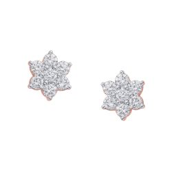 Luxurious Diamond Earrings