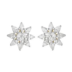 Eclectic Diamond Studded Earrings