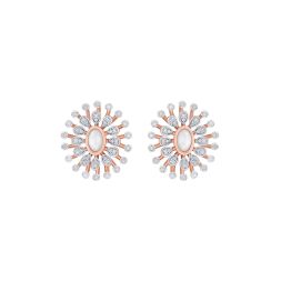 Brilliant Earrings in 14KT Rose Gold