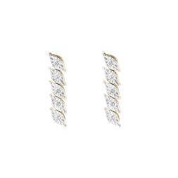 Stunning Dangler Earrings