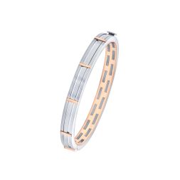 Stately Platinum Bangle